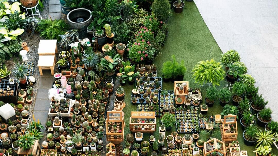 How Gardening Services Can Increase Property Value