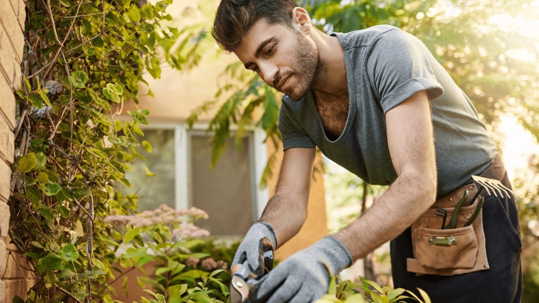 The Role of Professional Gardeners in Sustainable Landscaping